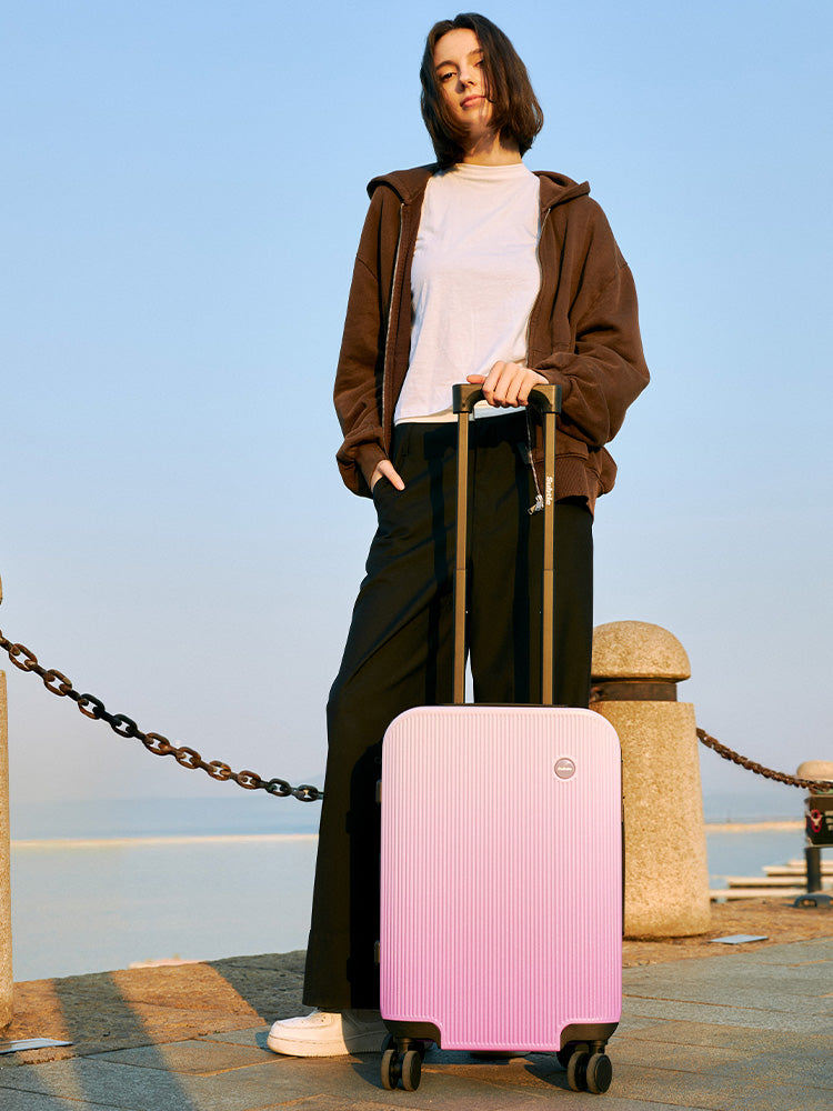 Gradient Luggage