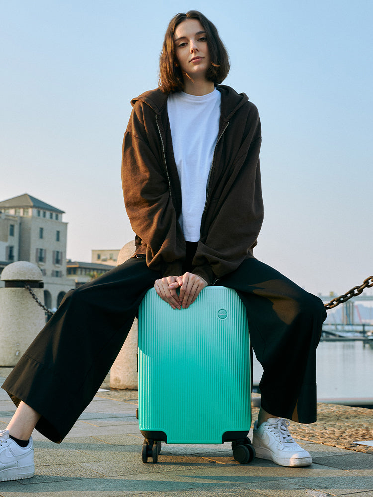 Gradient Luggage