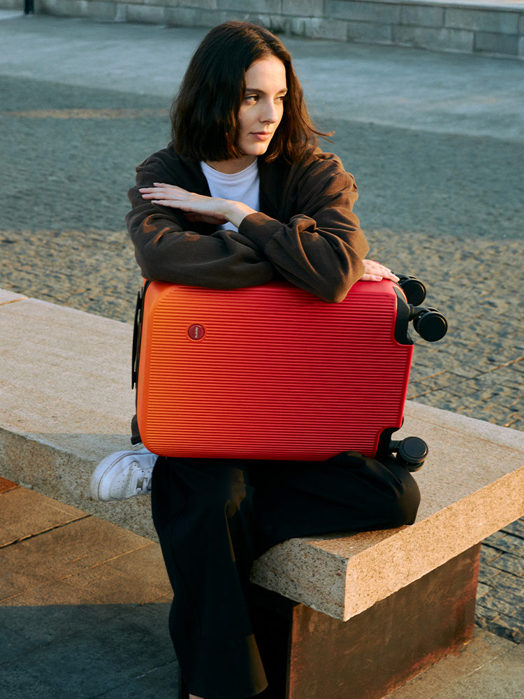 Gradient Luggage