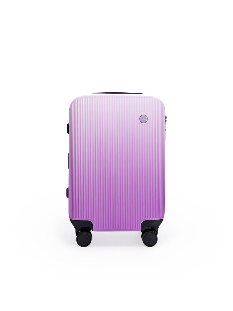 Gradient Luggage